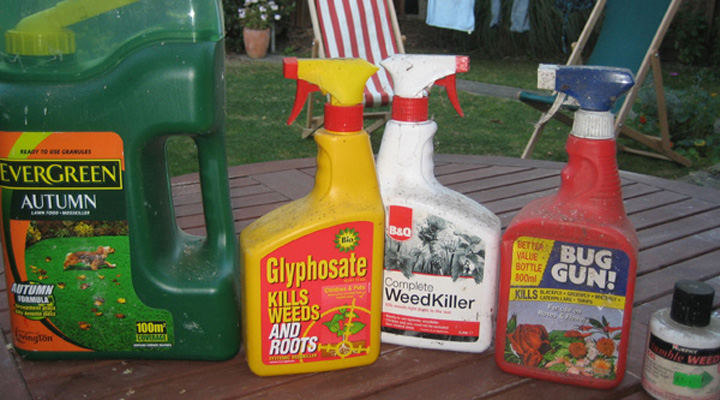 difference between insecticides and pesticides